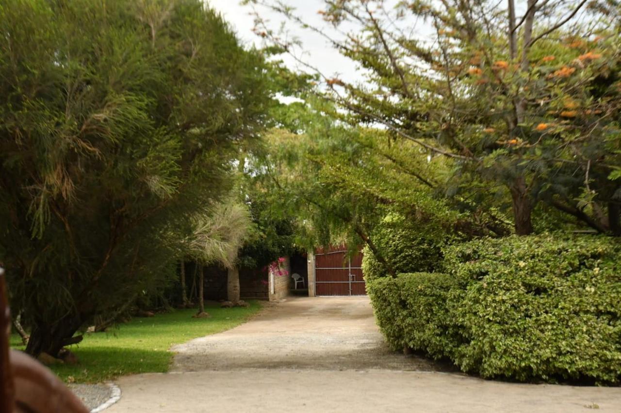 Merinja Guest House ナイバシャ エクステリア 写真